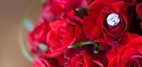 اشعار لعيد الحب