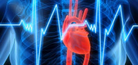 ما علاج تسارع دقات القلب ما علاج تسارع دقات القلب