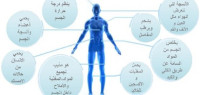 أهمية الماء في جسم الإنسان أهمية الماء في جسم الإنسان