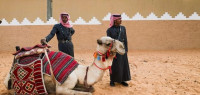 ما الفرق بين القبيلة والعشيرة ما الفرق بين القبيلة والعشيرة