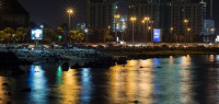 ما هي عروس البحر الأحمر ما هي عروس البحر الأحمر
