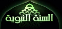 أول من كتب في السيرة النبوية أول من كتب في السيرة النبوية